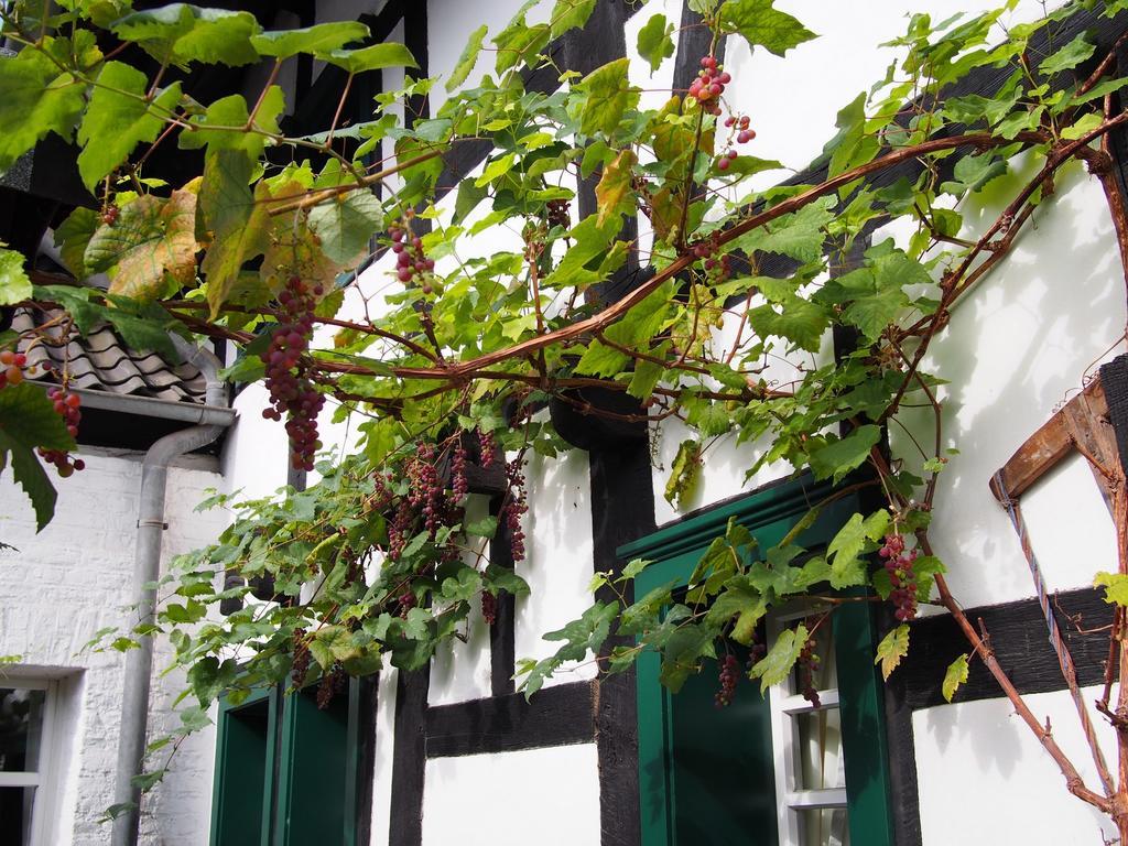 Falderhof Colonia Exterior foto